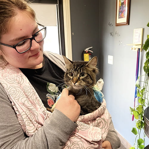 Pet Boarding in Chattanooga, TN The Inn at Wolftever